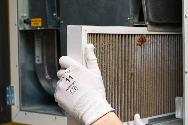 Best HVAC Duct Inspection Services  in Volcano Golf Course, HI