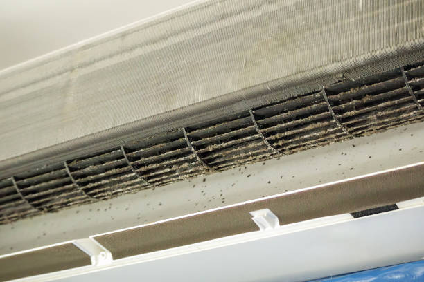Best Air Duct Cleaning Near Me  in Volcano Golf Course, HI