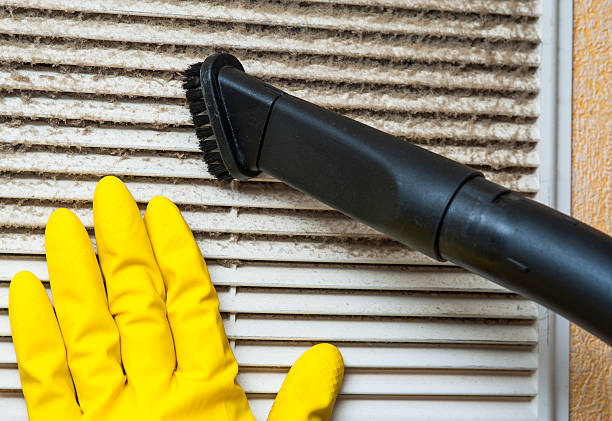 Best Local Air Duct Cleaning Services  in Volcano Golf Course, HI